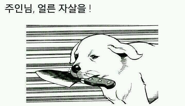 충견_1.jpg