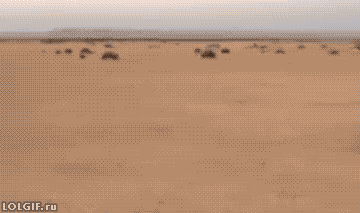 수동차.GIF_1.jpg