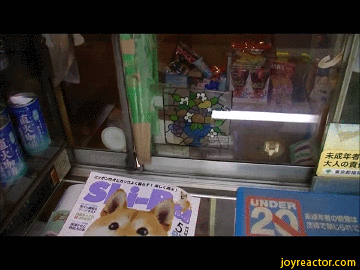 저기요 아무도없어요???.gif_1.jpg