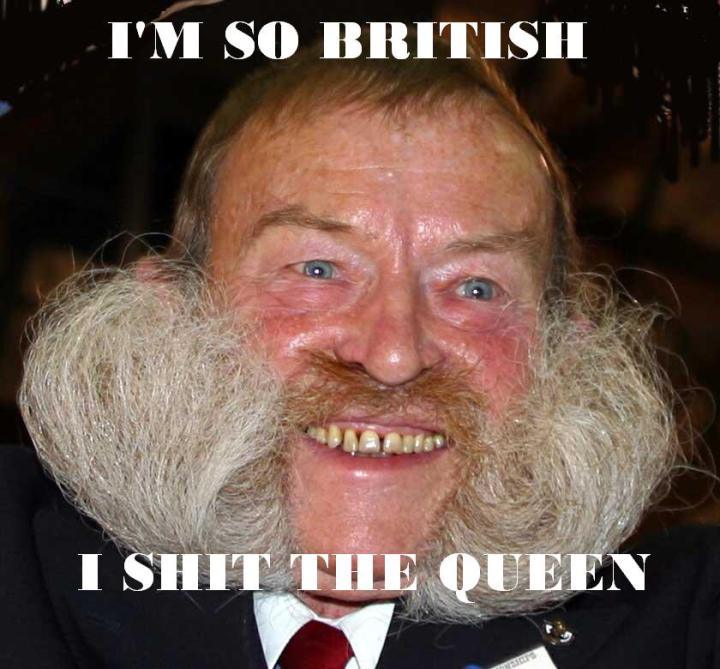 img/5/4/A/8/54A8F66E45443D0014