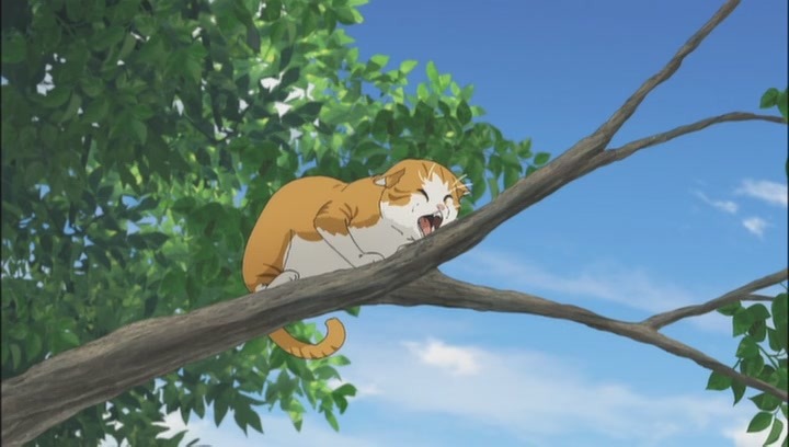 img/5/5/0/3/55039124366AD60002