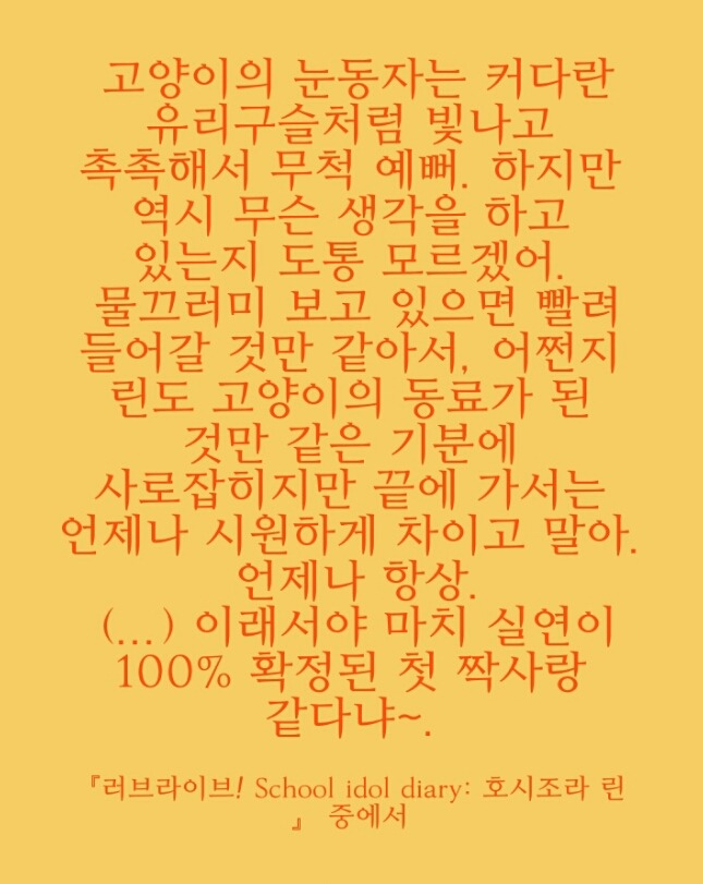 러브라이브 스쿨 아이돌 다이어리 호시조라 린: 키미노 사쿠라코_2.jpg