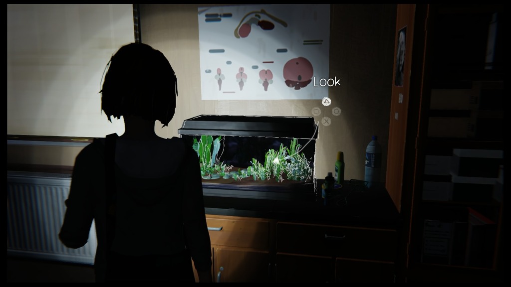 img/5/5/5/D/555D79FC354B0B0010