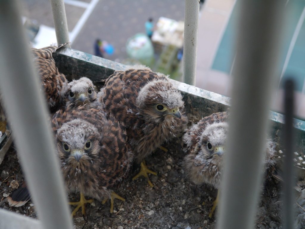 img/5/5/7/E/557E39A63C48300011