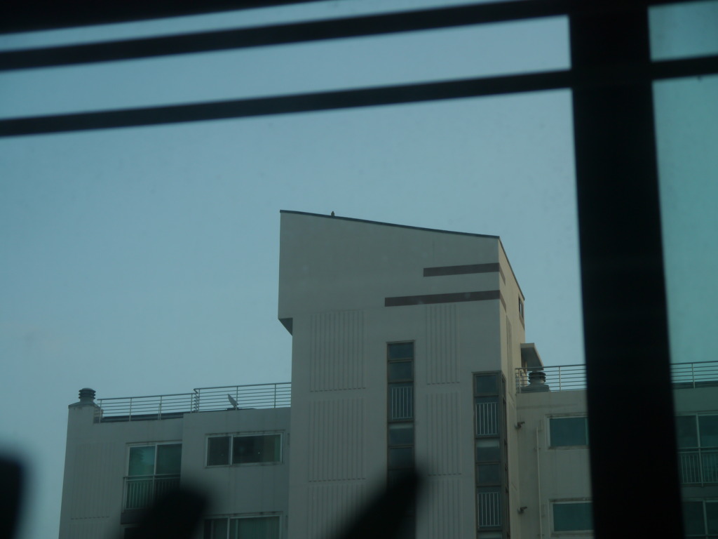 img/5/5/7/E/557E43A03A6F5F0010