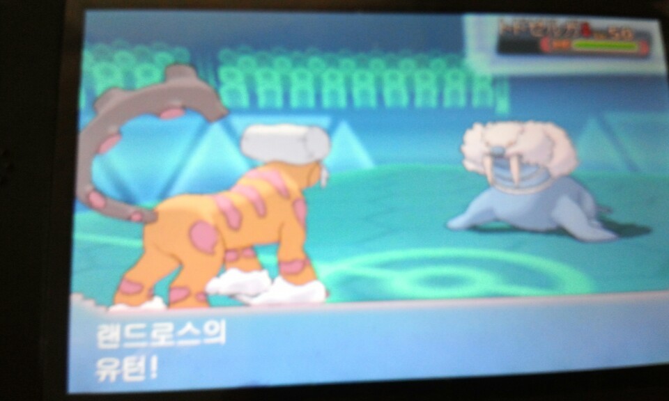 씨카이저 특성이 노가드였나요?_1.jpg