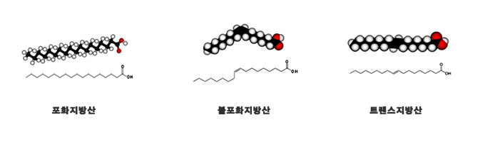 img/5/5/9/8/55989F694129810012