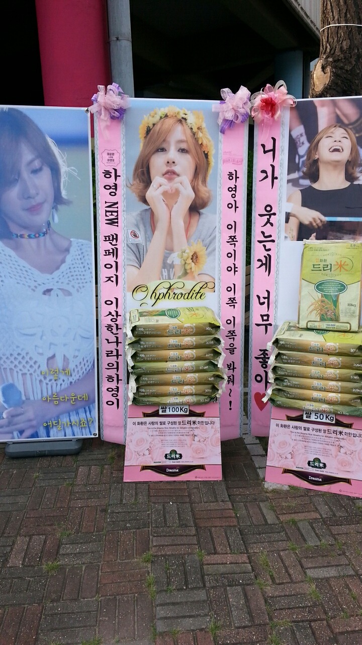 핑크 아일랜드 다녀왔습니다._1.jpg