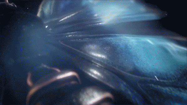 img/5/5/E/0/55E05C06463A270003