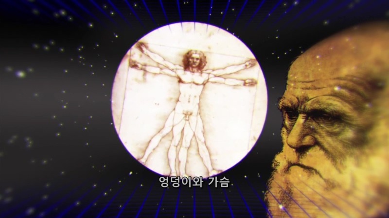 실제로 학계에 존재하는 과학적인 엉덩이 가설류 甲_3.jpg