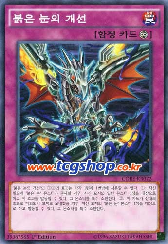 [모르면 손해보는 룰공부] 유령토끼는 어떻게 써야하는가_8.jpg