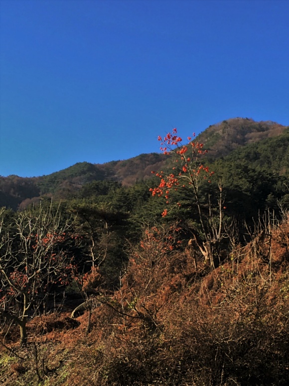 지리산 둘레길과 천왕봉_3.jpg