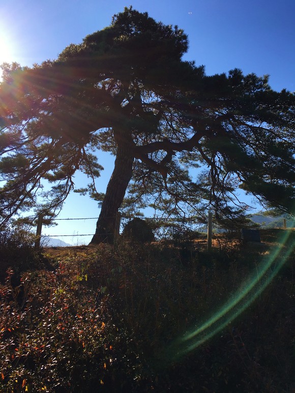 지리산 둘레길과 천왕봉_8.jpg