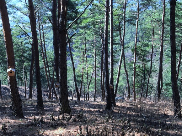 지리산 둘레길과 천왕봉_9.jpg