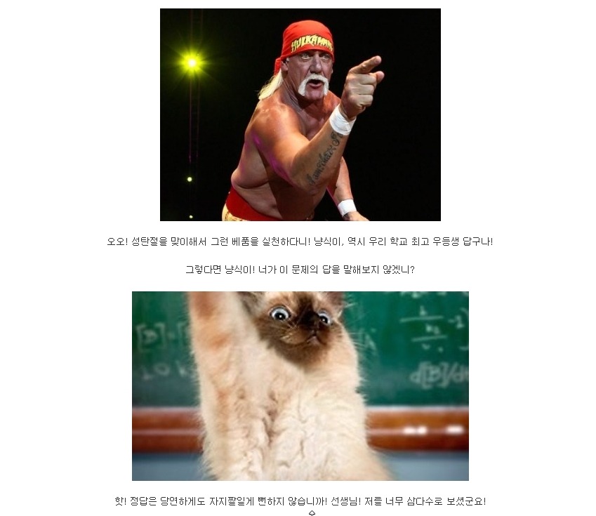 괴도자지의 범행_12.jpg
