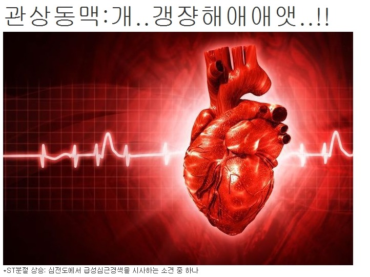 개꿀! 카카오버터가 들어간 이마트 초콜렛_12.jpg
