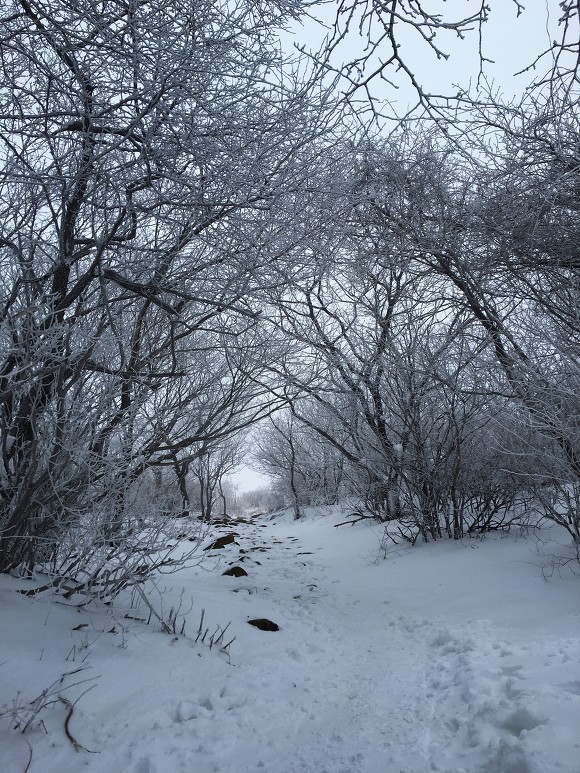 폭설뒤에 무등산 산행기_8.jpg