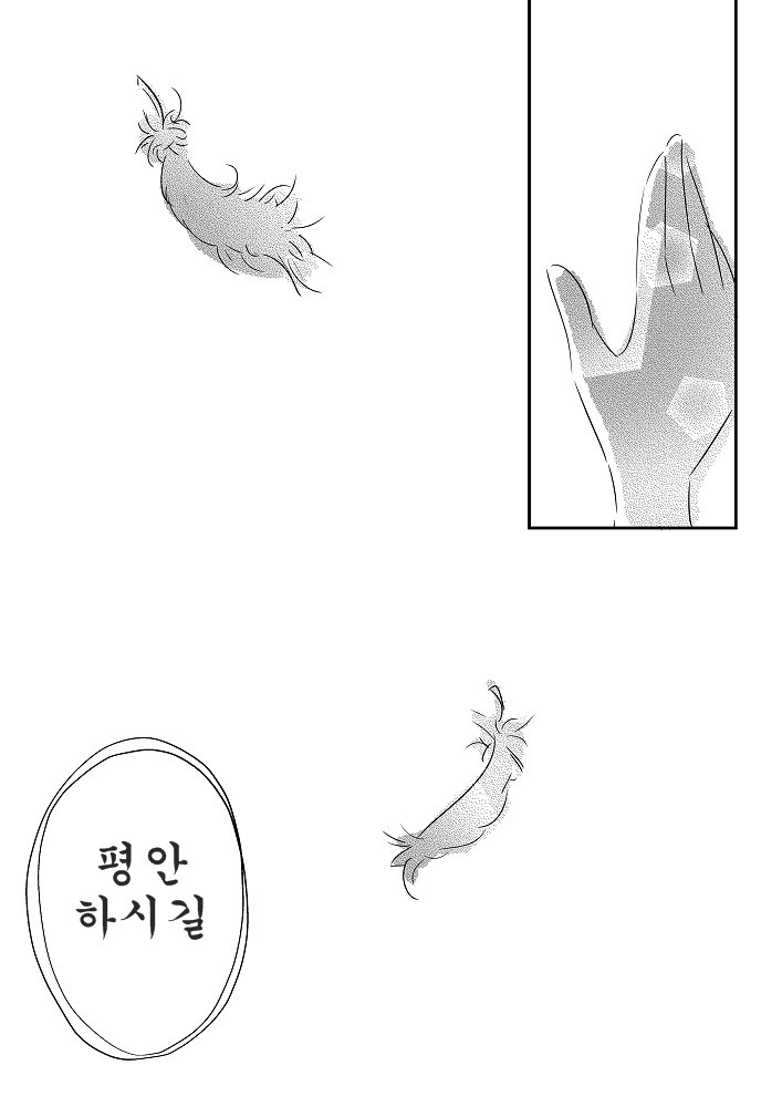 img/5/6/B/8/56B8D09F49024B0001