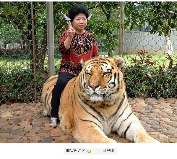 img/5/6/C/1/56C14E523937DA0003