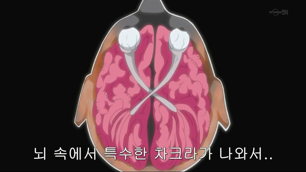 [나루토]인체실험 마스터_32.jpg