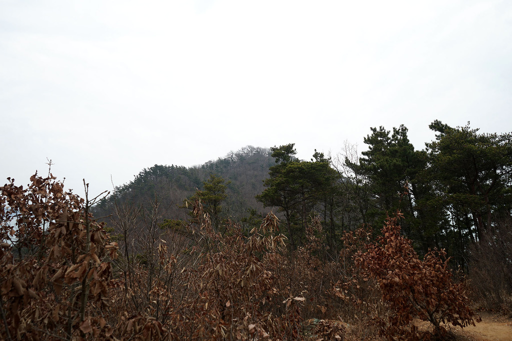 16년3월5일, 서산 황금산, 코끼리바위, 굴금_9.jpg