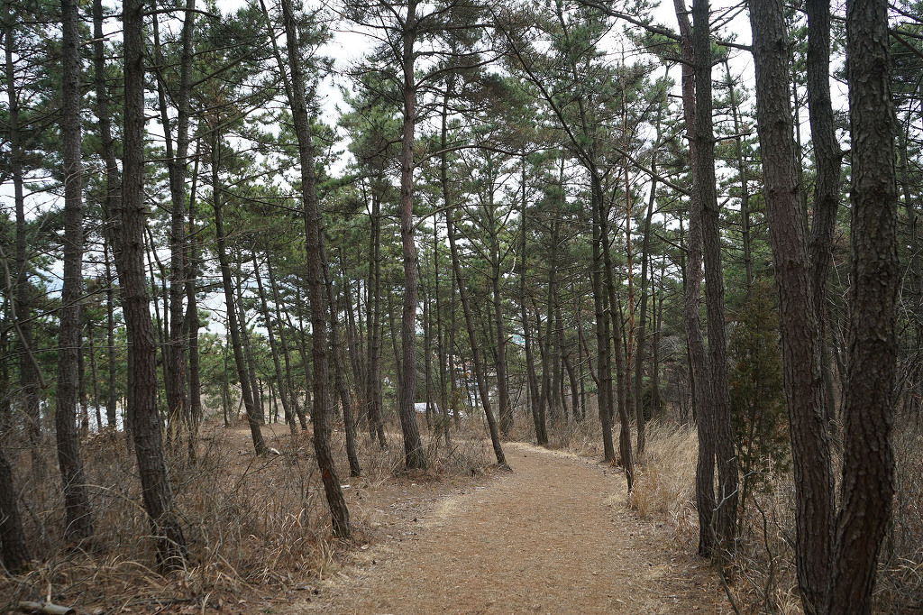 16년3월5일, 서산 황금산, 코끼리바위, 굴금_34.jpg