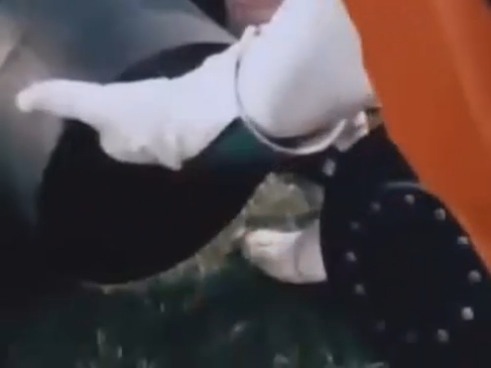 [잭커 전격대] 아프리카 코끼리를 발사해라!_2.jpg