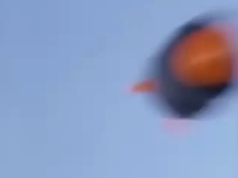 [잭커 전격대] 아프리카 코끼리를 발사해라!_7.jpg