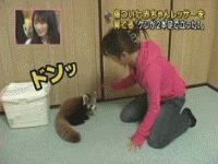 인류를 위협하는 무서운 존재.jpg_2.jpg