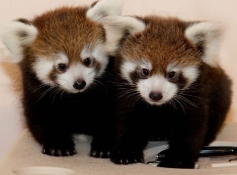 인류를 위협하는 무서운 존재.jpg_7.jpg