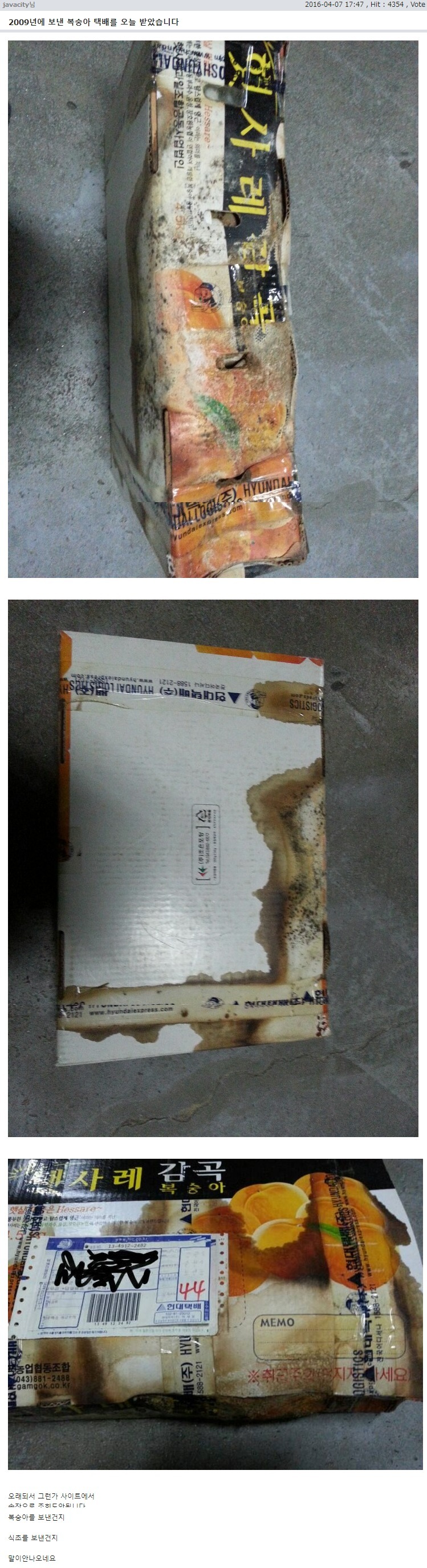 버뮤다 탈출 택배 신기록.jpg_2.jpg