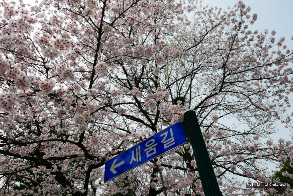 img/5/7/0/B/570BAE8650339F0034