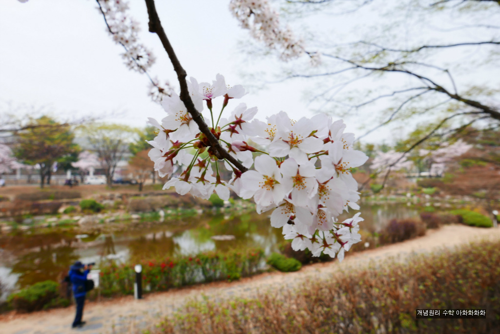 img/5/7/0/B/570BAF024E7E820014