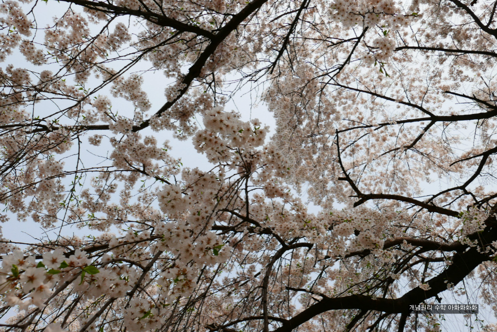 img/5/7/0/B/570BB0804E1B840001