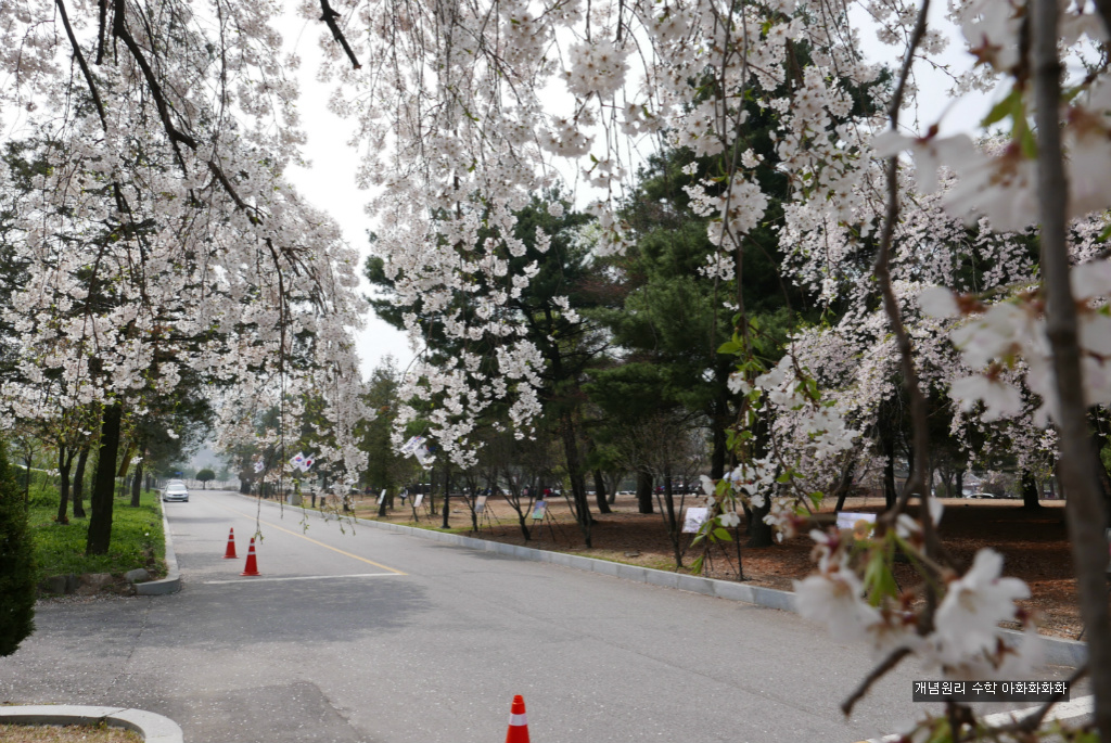 img/5/7/0/B/570BB0884E7D680020