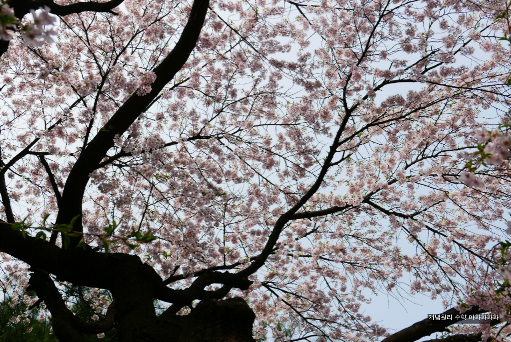 img/5/7/0/B/570BB0F94928980002