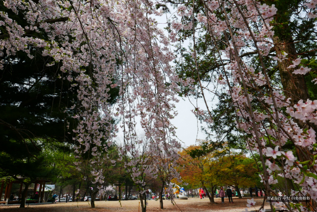 img/5/7/0/B/570BB19A4B6A890012