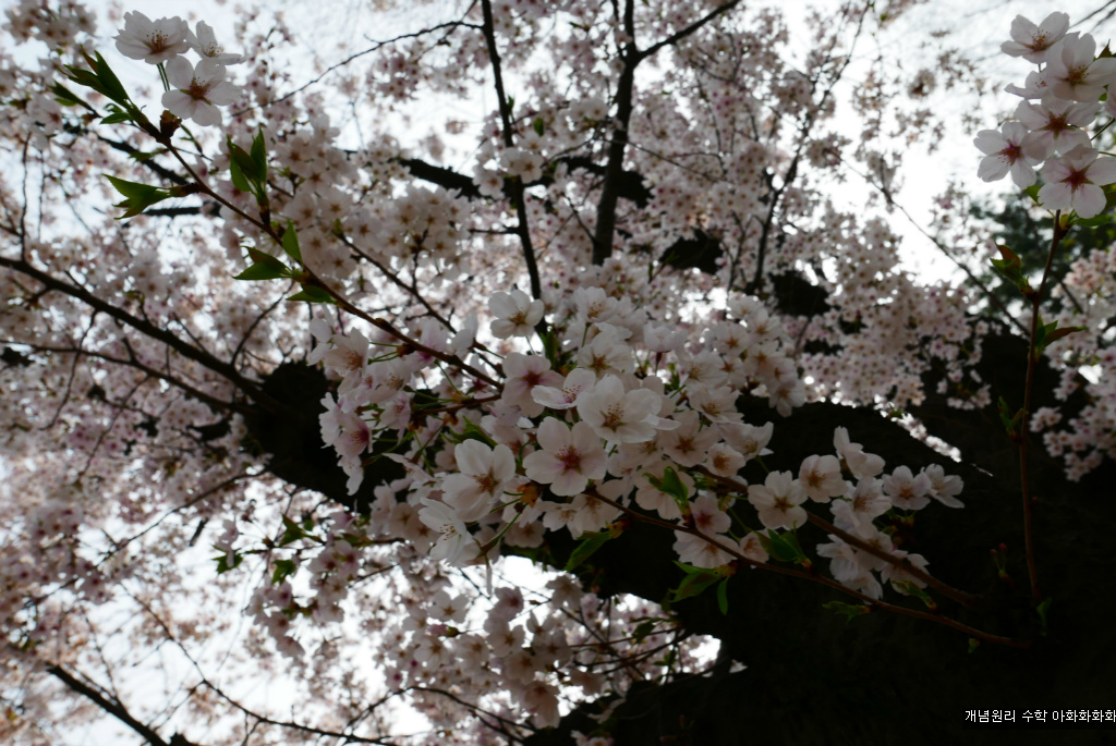 img/5/7/0/B/570BB23D492F7B0004