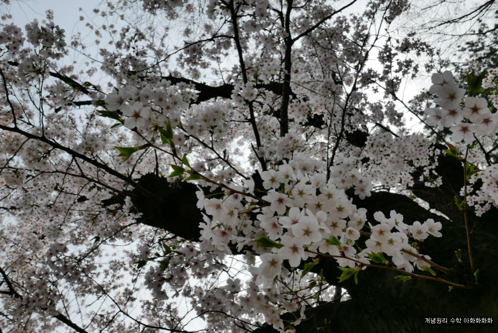 img/5/7/0/B/570BB31F491B030020