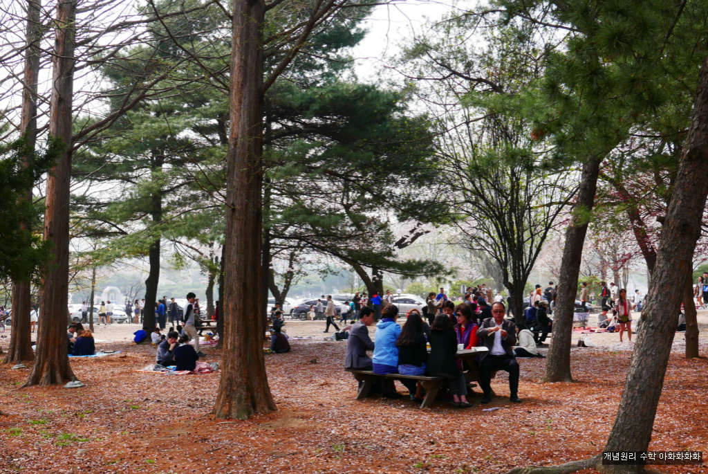 img/5/7/0/B/570BB330491A470021