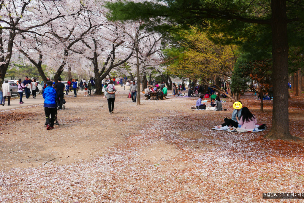 img/5/7/0/B/570BB4574E6FDA0044