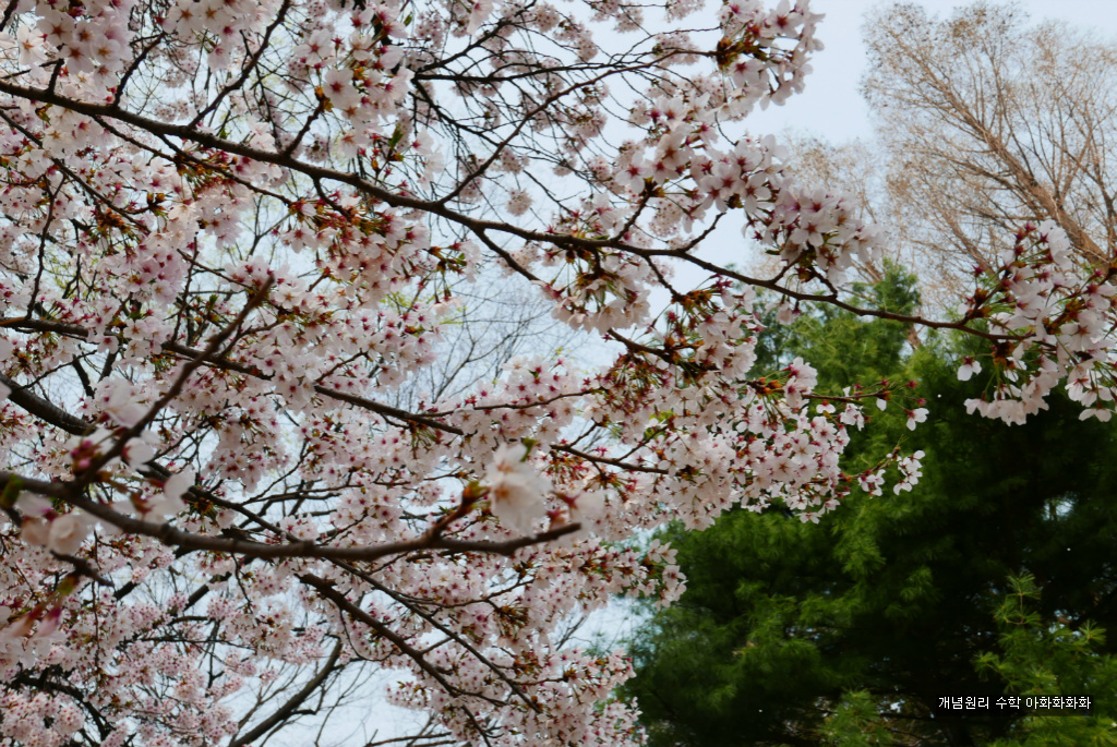 img/5/7/0/B/570BB5EE4E1F160023