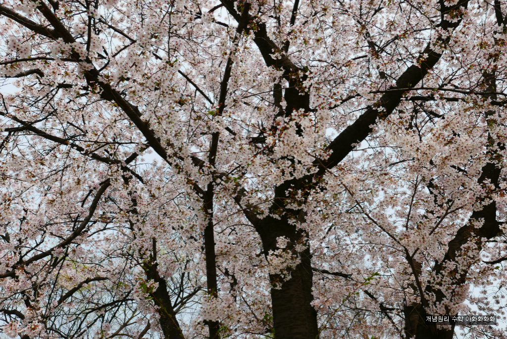 img/5/7/0/B/570BB6004E2FF00013