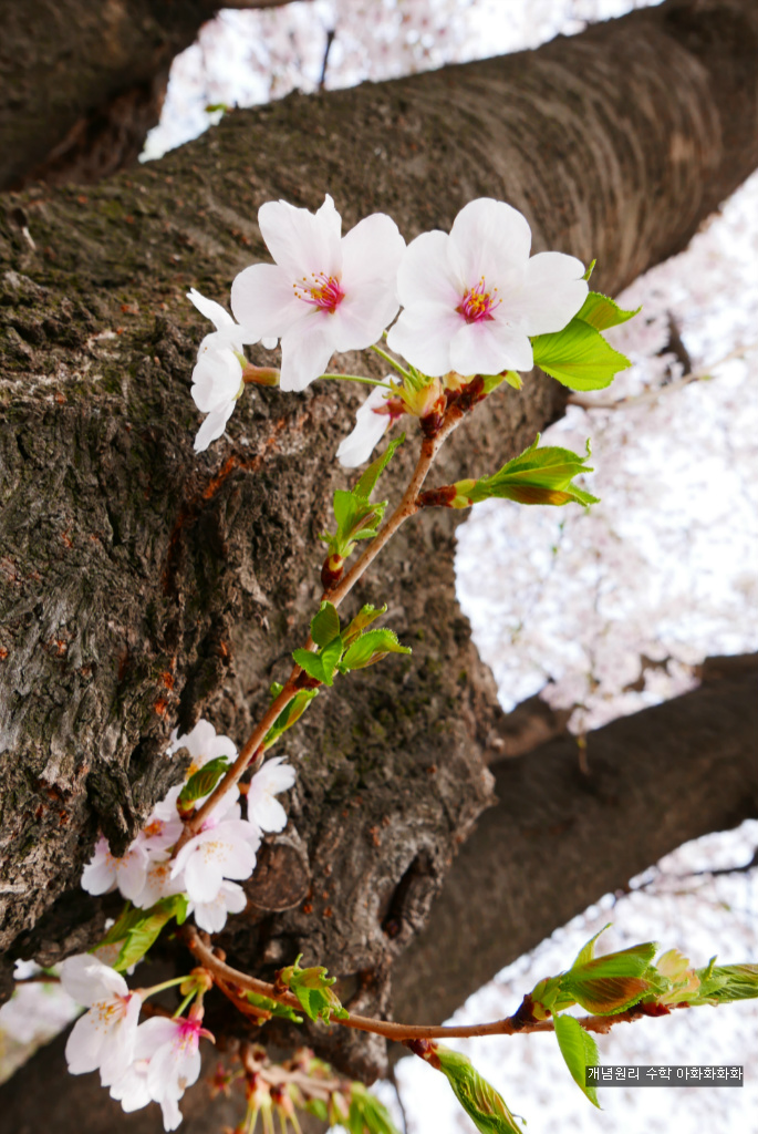 img/5/7/0/B/570BB6023A72B20010