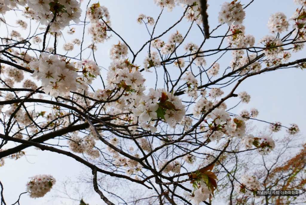 img/5/7/0/B/570BB85B3C39850013