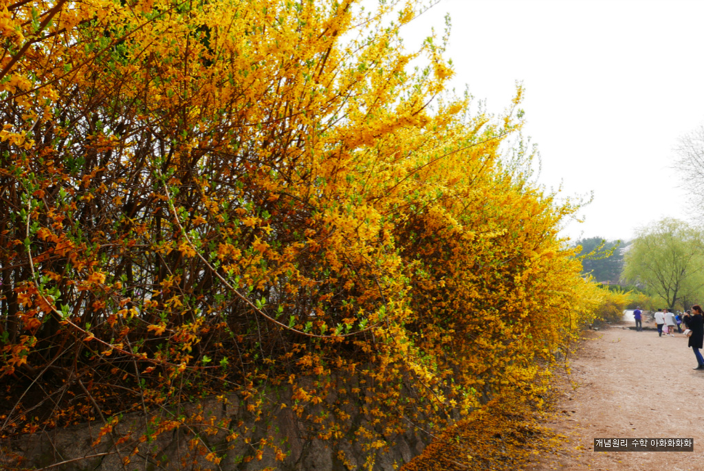 img/5/7/0/B/570BBDC138468E0002