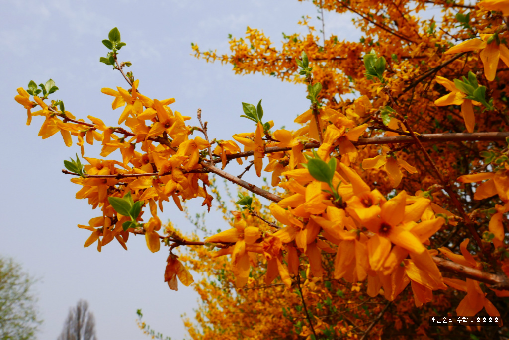 img/5/7/0/B/570BBDC738397F0010