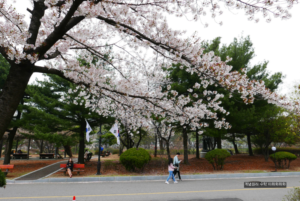 img/5/7/0/B/570BC2F04C285B0001