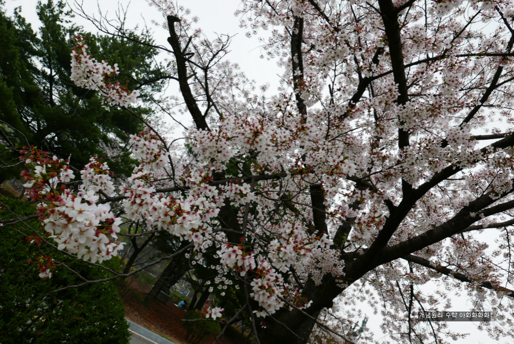 img/5/7/0/B/570BC2F54C078A0024