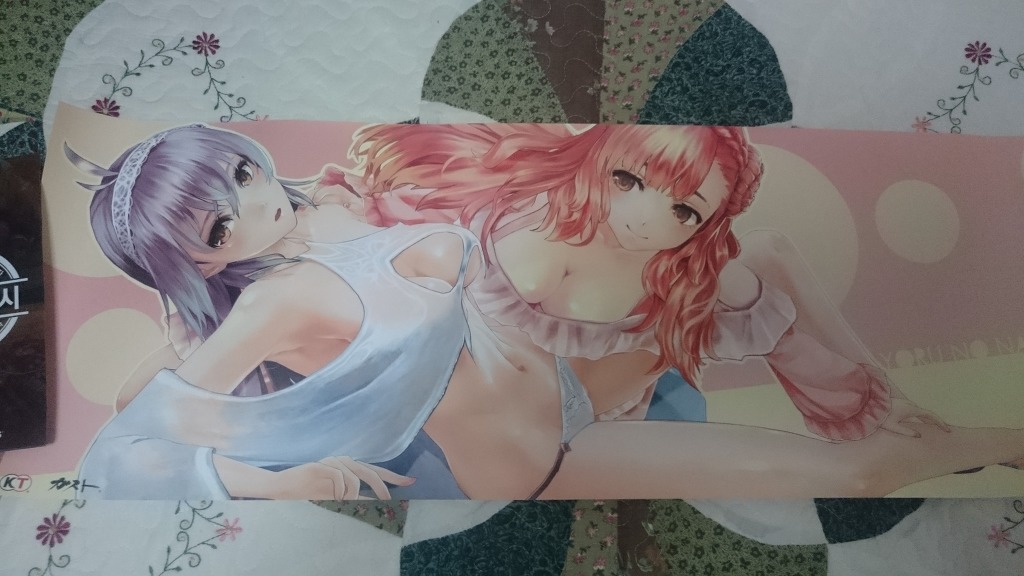 혹시나 콜랙션 박스 지르신 분들 태피스트리 참고용(후방)_4.jpg